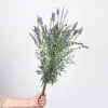 Artificial lavender ground arrangement, artificial flower flocking, outdoor wedding landscape decoration, flower arrangement, plant artificial flower details Picture